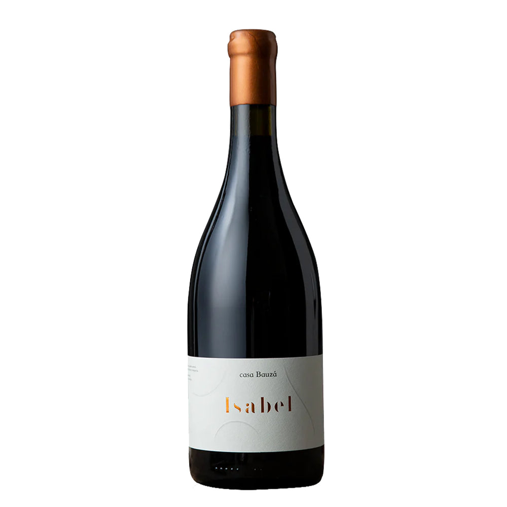 CASA BAUZA ICONO ISABEL CARMENERE 750 ML
